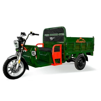 Грузовой электротрицикл Rockwild Cargo MAX Q30