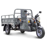 Грузовой электротрицикл Rutrike D4 NEXT 1800 60V1500W Серый