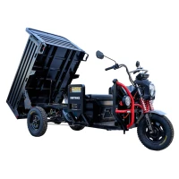 Грузовой электротрицикл WHITE SIBERIA SIBTRIKE CARGO PRO 